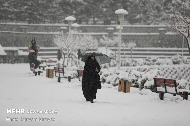 بارش برف زمستانی در تهران