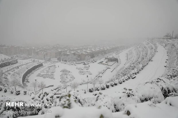 بارش برف زمستانی در تهران