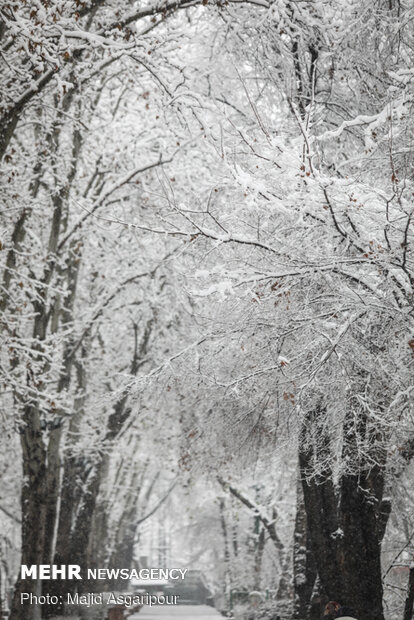 Snow blankets the Iranian capital