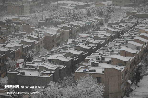 برف تهران