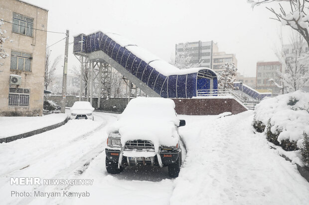 برف تهران