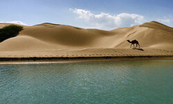 Darak beach is where the barren desert meets sea in Iran’s southeastern province of Sistan-Baluchestan