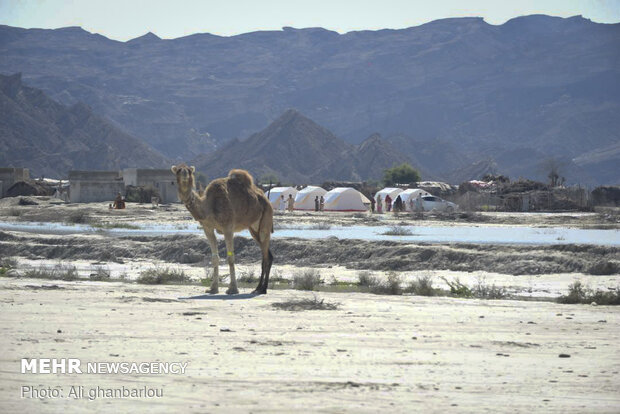 Relief-rendering situation in flood-hit areas in Sistan and Baluchestan prov.