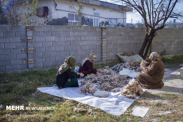 زنان روستای دهنه ، در حال تمیز کردن پشم ها هستند