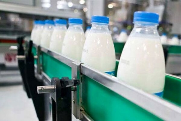 ۱۰۹۰ تن شیر در آذربایجان غربی تولید و روانه بازار می شود