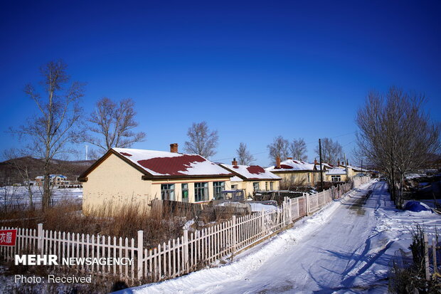 دوخت لباس با پوست ماهی در چین