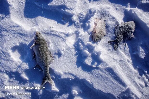 دوخت لباس با پوست ماهی در چین