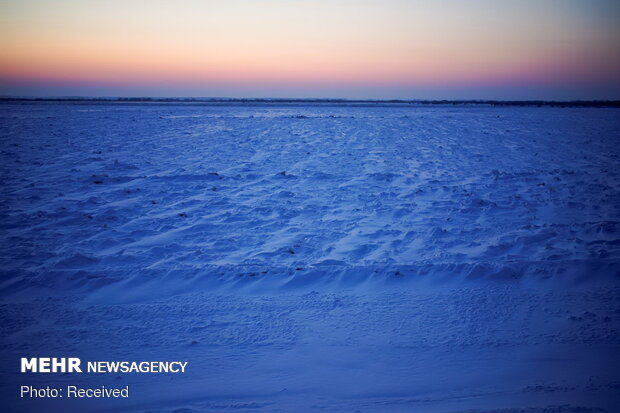 دوخت لباس با پوست ماهی در چین