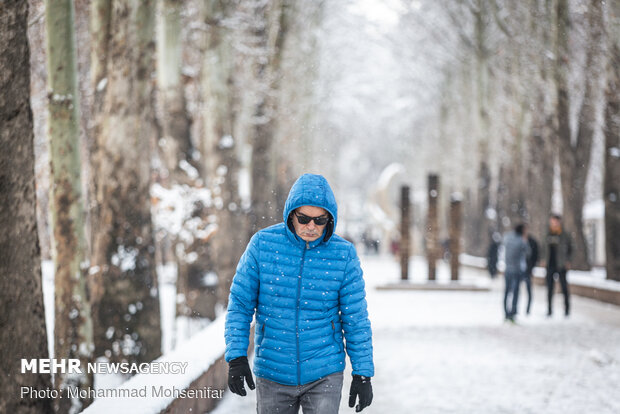 VIDEO: Winter snow blankets Ardabil