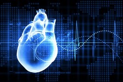 عوامل خطر بیماری قلبی تا حد زیادی در مردان و زنان مشابه است