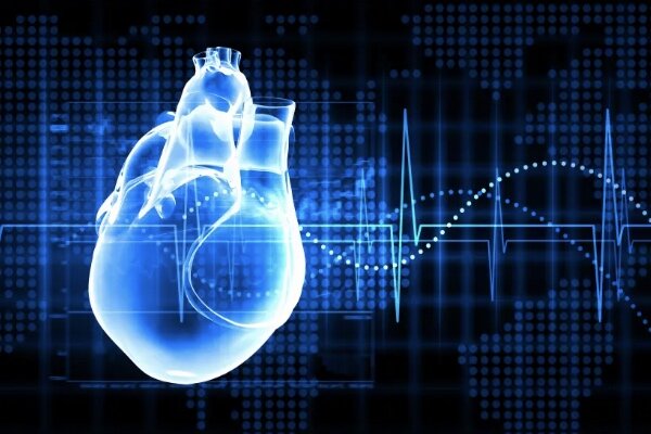 مدل جدید پیشگیری و درمان بیماری های قلبی عروقی ارائه شد