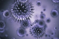 دنیا بھر میں کورونا وائرس سے ہلاکتیں 6 لاکھ 8ہزار 942 افراد تک پہنچ گئیں