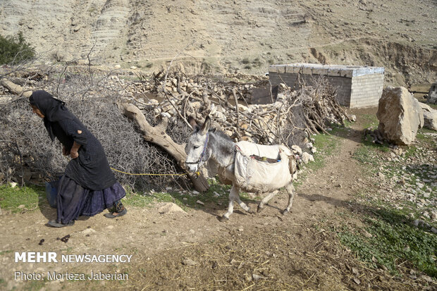 مددجویان روستایی بدون مسکن صاحب خانه می‌شوند