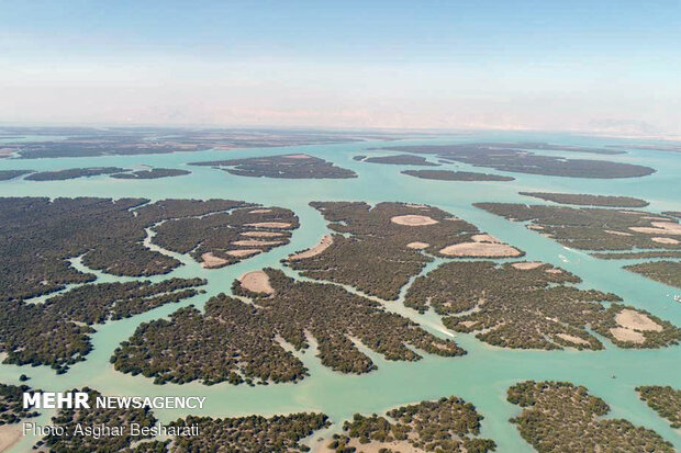 Breathtaking beauty of Qeshm's mangrove forest
