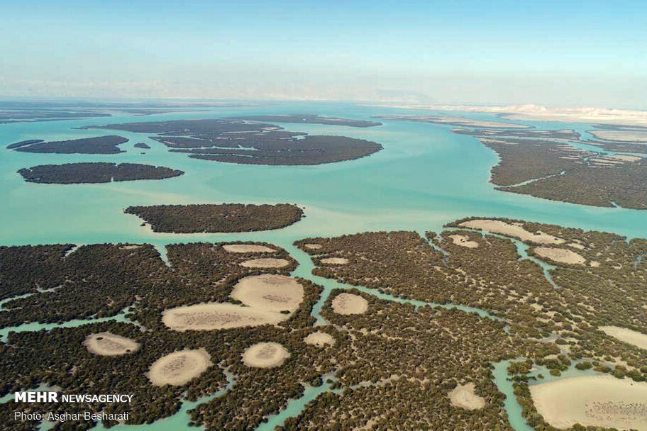 الگویی برای توسعه روستاها؛ سهیلی چرا و چگونه جهانی شد؟