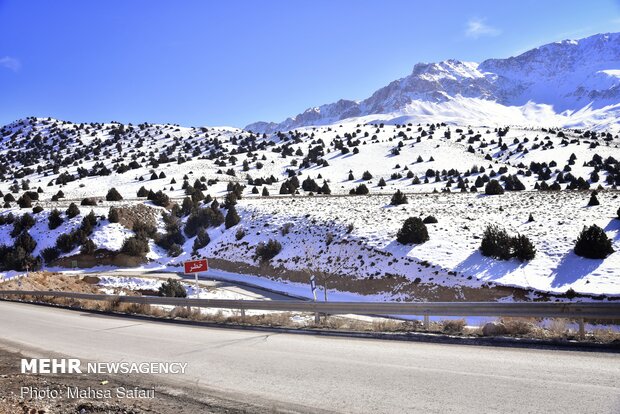 برف سرعلی آباد ؛ جایی برای لحظه های شاد