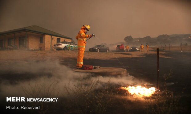آتش سوزی به پایتخت استرالیا نزدیک شد