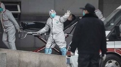WHO sends novel coronavirus test kits to Iran