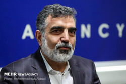 Behrooz Kamalvandi