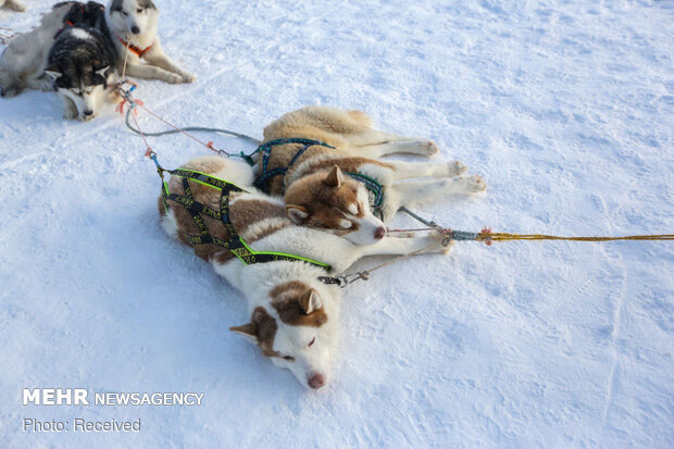 پارک گردشگری «شفق شمالی» روسیه