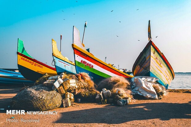 الصورالفائزة في مسابقة تصوير المناظر الطبيعية لعام 2019