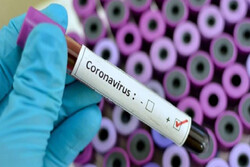 فرانس میں 5 برطانوی شہریوں میں کورونا وائرس کی تصدیق