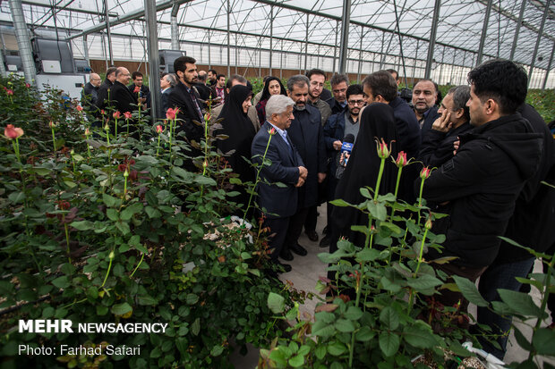 سفر سرپرست وزارت جهاد کشاورزی به قزوین