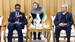 Head of Iran Chamber of Commerce, Industries, Mines and Agriculture (ICCIMA) Gholam-Hossein Shafei (R) met with the Zimbabwean ambassador to Tehran Christopher Mapanga (L) in Tehran on Tuesday.