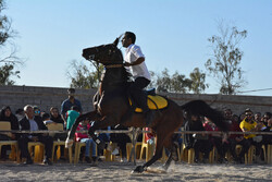 Larestan hosts 2nd gathering of equestrians, horseback riders