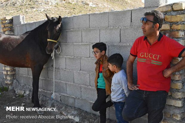 Larestan hosts 2nd gathering of equestrians, horseback riders 