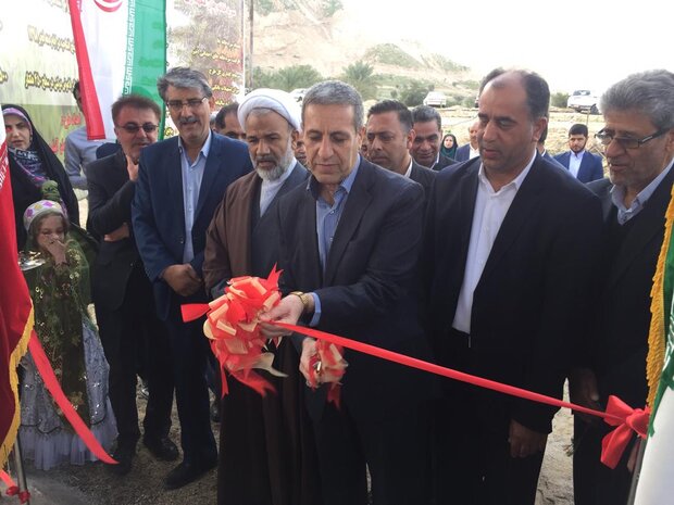 احداث گلخانه کشاورزی در استان بوشهر ۳۰۰ درصد افزایش یافته است