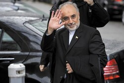رئيس منظمة الطاقة الذرية في ايران يصل الى فيينا