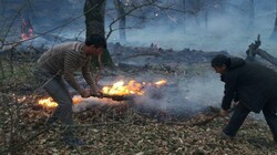 Wildfire extinguished in northern forests