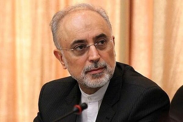 Iran not to hesitate to take any measures to protect its security: AEOI chief