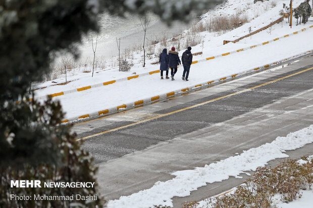 Heavy snow, freezing weather prompts closure of schools in Ardebil Prov.
