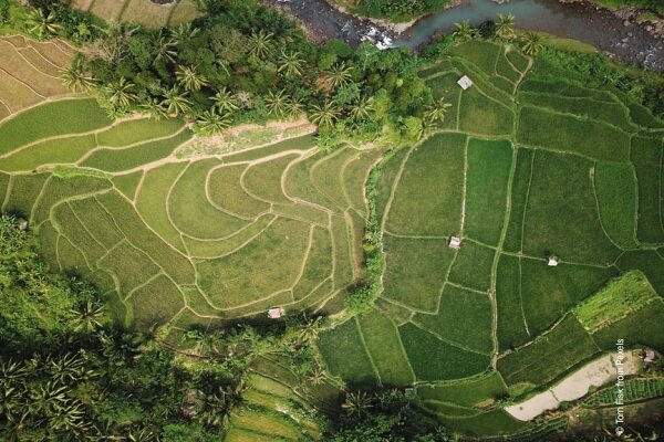 Asia-Pacific region needs better data to assure progress in agricultural systems: FAO