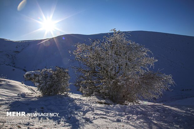 Bojnourd’s snowy nature