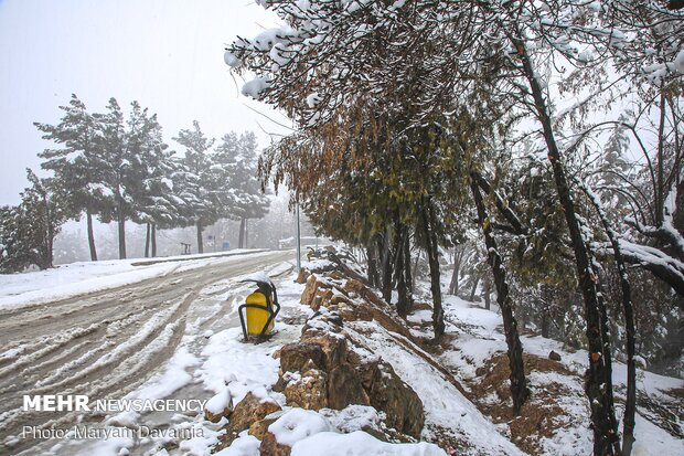 طبیعت برفی بجنورد