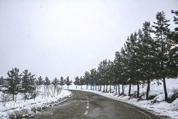 Bojnourd’s snowy nature