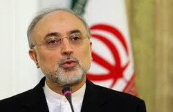 salehi
