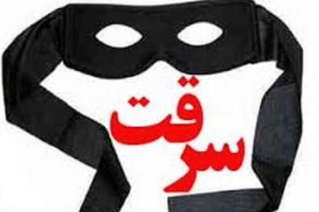 یک سارق با اعتراف به ۲۳ فقره سرقت اماکن عمومی بویراحمد دستگیر شد