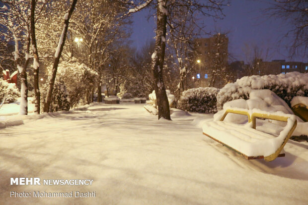 Snowy nights in Ardabil prov.