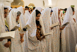 ۱۵۰ زوج در استان بوشهر برای ازدواج دانشجویی ثبت‌نام کردند