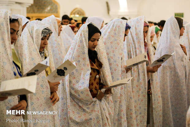  ۱۵۰ زوج در استان بوشهر برای ازدواج دانشجویی ثبت‌نام کردند