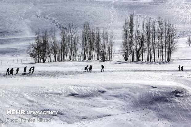 Winter fun time in Chelgard 