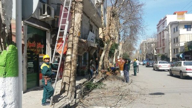 قطعی برق در برخی مناطق شهر کرمانشاه 