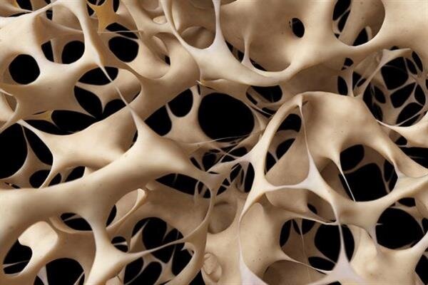 داربست های نانویی برای مهندسی و احیای بافت استخوان تولید شد