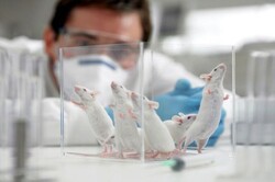سمینار ملی فناوری‌های جایگزین حیوانات آزمایشگاهی برگزار می‌شود