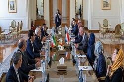 FM Zarif, Dutch counterpart discuss regional developments