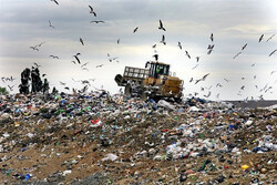 معضلات کم آبی شهرری و تجمع زباله‌ها در «آرادکوه» پیگیری شد
